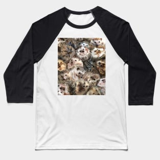 Hedgehogs Baseball T-Shirt